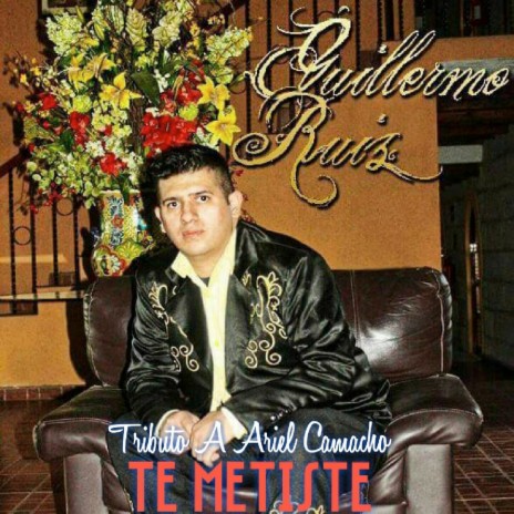 Te Metiste Tributo A Ariel Camacho | Boomplay Music