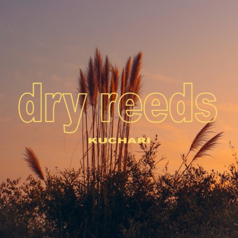 Dry Reeds | Boomplay Music