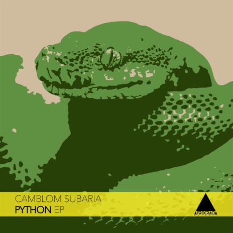 Python (Original Mix)