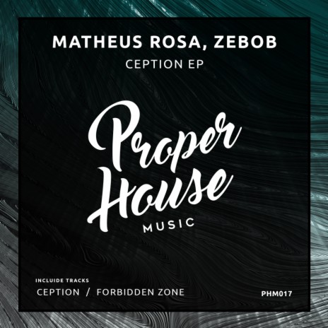 Forbidden Zone (Original Mix) ft. Zebob | Boomplay Music