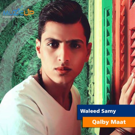 Qalby Maat | Boomplay Music