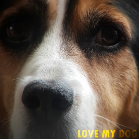 Love My Dog | Boomplay Music