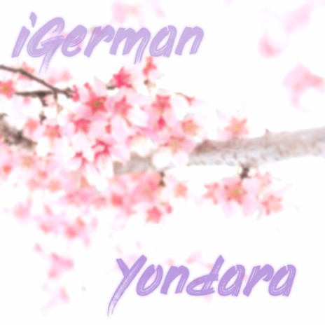 Yondara | Boomplay Music