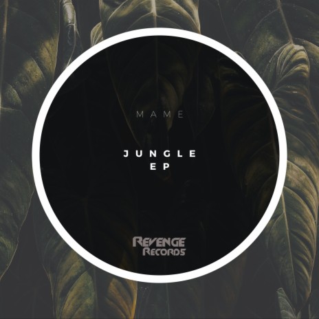 Jungle | Boomplay Music