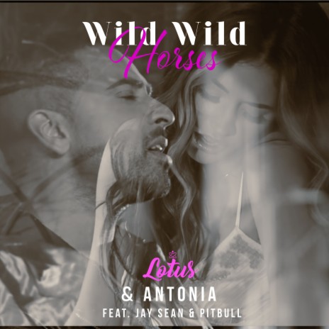 Wild Wild Horses (Bodybangers VIP Remix) ft. Antonia, Jay Sean & Pitbull | Boomplay Music