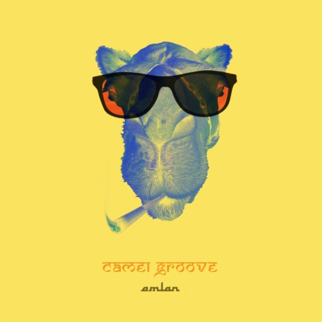 Camel Groove