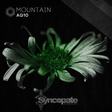 Mountain (Original Mix) | Boomplay Music