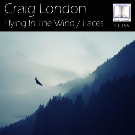 Flying In The Wind (Original Mix)