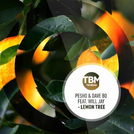 Lemon Tree ft. Dave Bo & Will Jay | Boomplay Music