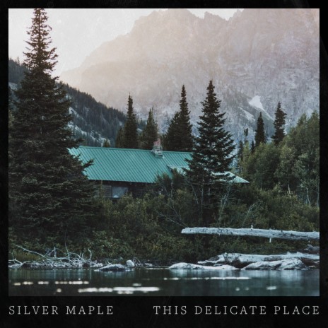 This Delicate Place | Boomplay Music