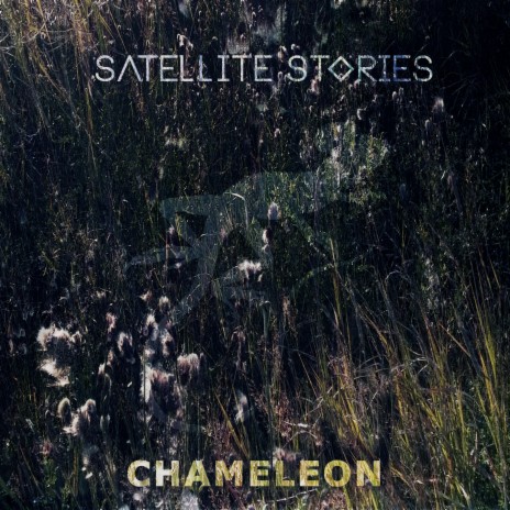 Chameleon | Boomplay Music