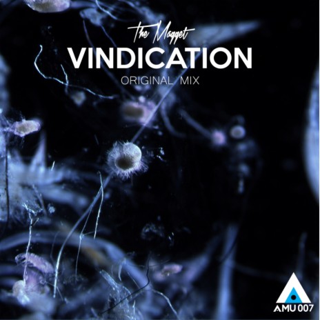 Vindication (Original Mix)