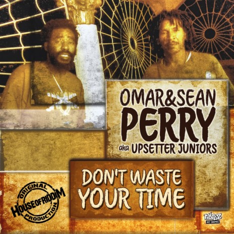 Dont Waste Your Time ft. Sean Perry | Boomplay Music