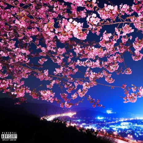 Cherry Blossom | Boomplay Music