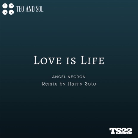 Love Is Life (Harry Sotofro Remix) | Boomplay Music