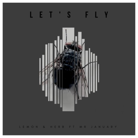 Let's Fly (Original Mix) ft. Mr January