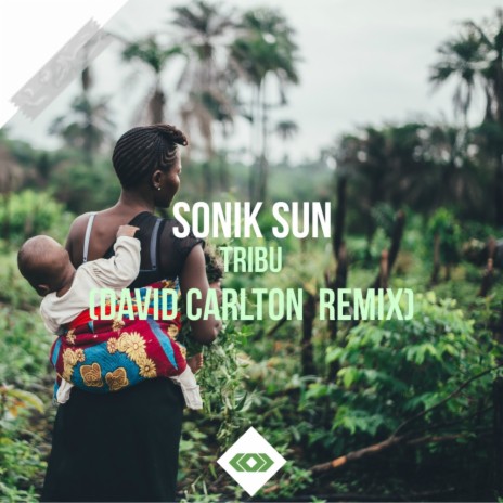 Tribu (David Carlton Remix) | Boomplay Music