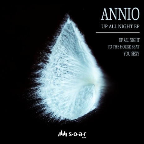 Up All Night (Original Mix)