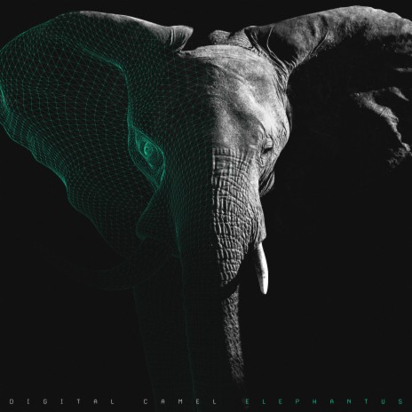 Elephantus | Boomplay Music