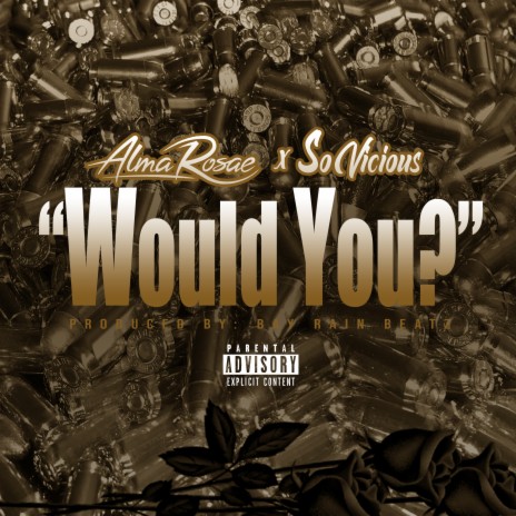 Would You? ft. So Vicious | Boomplay Music