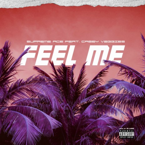 Feel Me ft. Casey Veggies | Boomplay Music