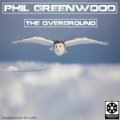The OverGround (Original Mix)