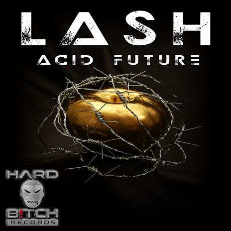 Acid Future (Bush Pig Remix) | Boomplay Music