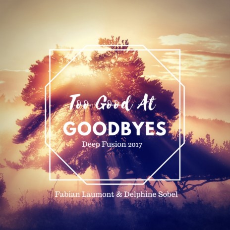 Too Good at Goodbyes (Deep Fusion 2017) ft. Delphine Sobel | Boomplay Music