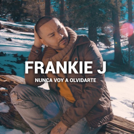 Nunca Voy A Olvidarte | Boomplay Music