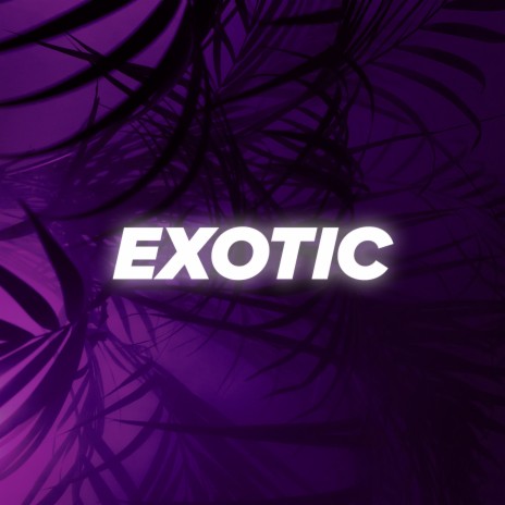 Exotic | Boomplay Music