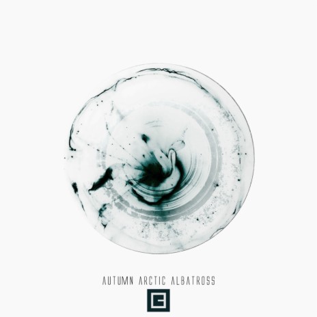 Albatross (Original Mix) | Boomplay Music