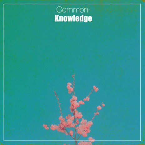 Common Knowledge | Boomplay Music