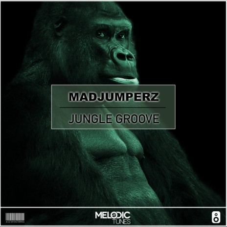 Jungle Groove (Original Mix) | Boomplay Music