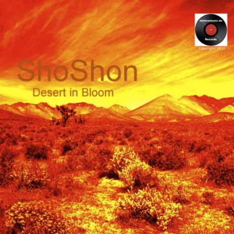 Desert in Bloom | Boomplay Music