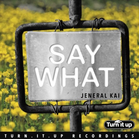 Say What (Original Mix)