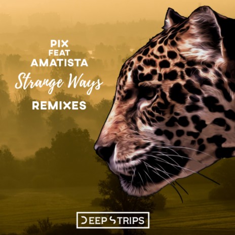 Strange Ways (Original Mix) ft. Amatista | Boomplay Music