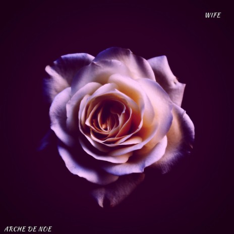 Wife | Boomplay Music