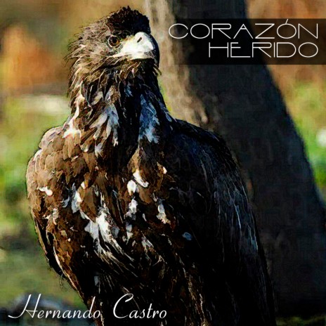 Corazón Herido | Boomplay Music