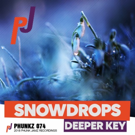 Snowdrops (Original Mix)