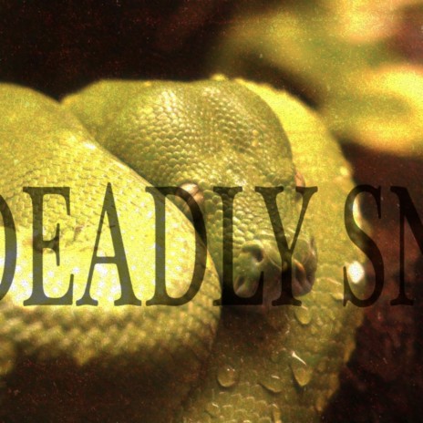 Deadly Snakes (Original Mix)