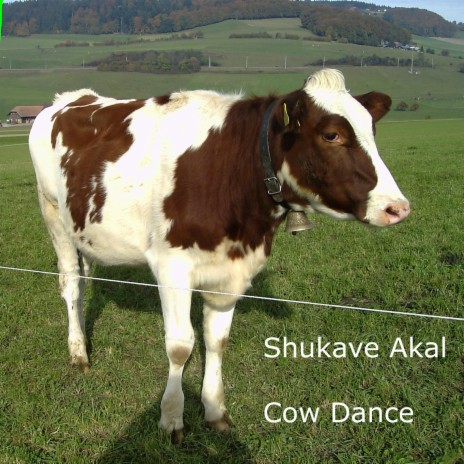 Cow Dance | Boomplay Music