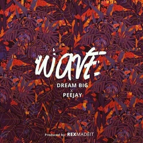 Wave feat. Peejay | Boomplay Music