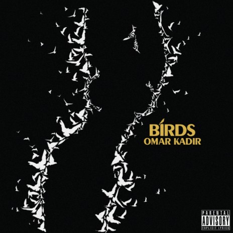 Birds | Boomplay Music