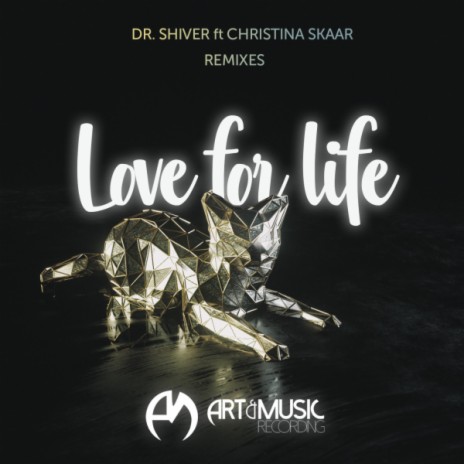 Love For Life (Leonail Remix) (Leonail Remix) ft. Leonail & Christina Skaar | Boomplay Music