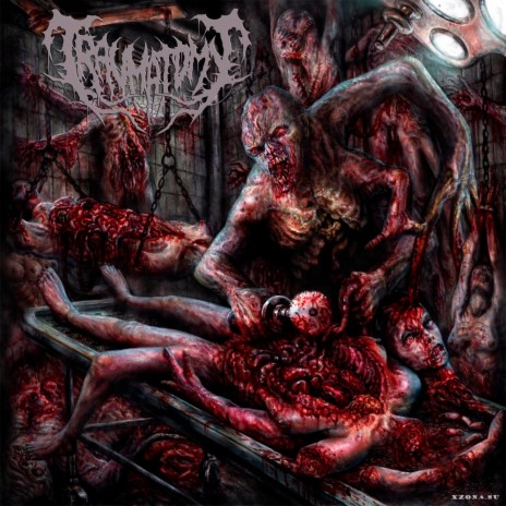 Deformity of Human Creatures (Intro) | Boomplay Music