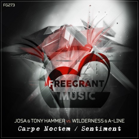 Carpe Noctem (Original Mix) ft. Tony Hammer | Boomplay Music