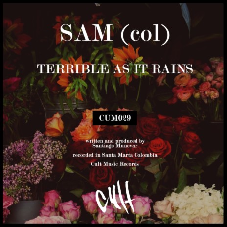 Terrible As It Rains (Original Mix) | Boomplay Music