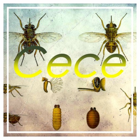 Cece (Original Mix) | Boomplay Music