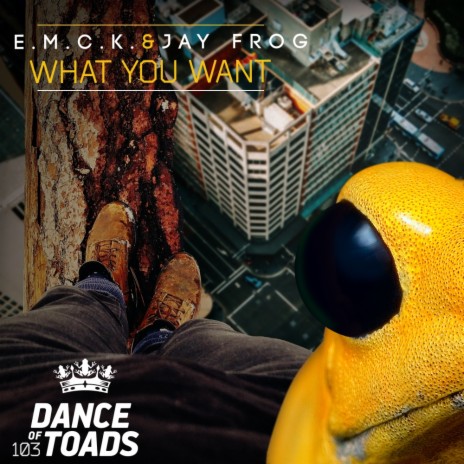 What You Want (Extended Mix) ft. Jay Frog