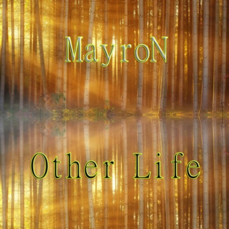 Other Life (Emotional Mix)